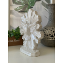 divino Espírito Santo 25cm branco perolado dourado de mesa imagem de gesso